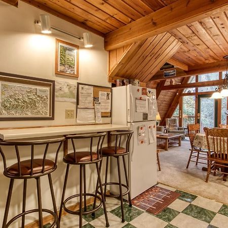 Mountain Springs Chalet 개틀린버그 외부 사진