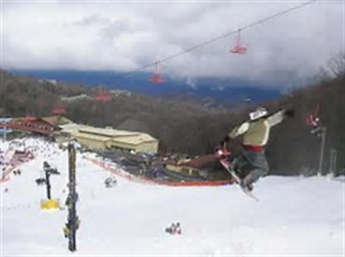 Mountain Springs Chalet 개틀린버그 외부 사진