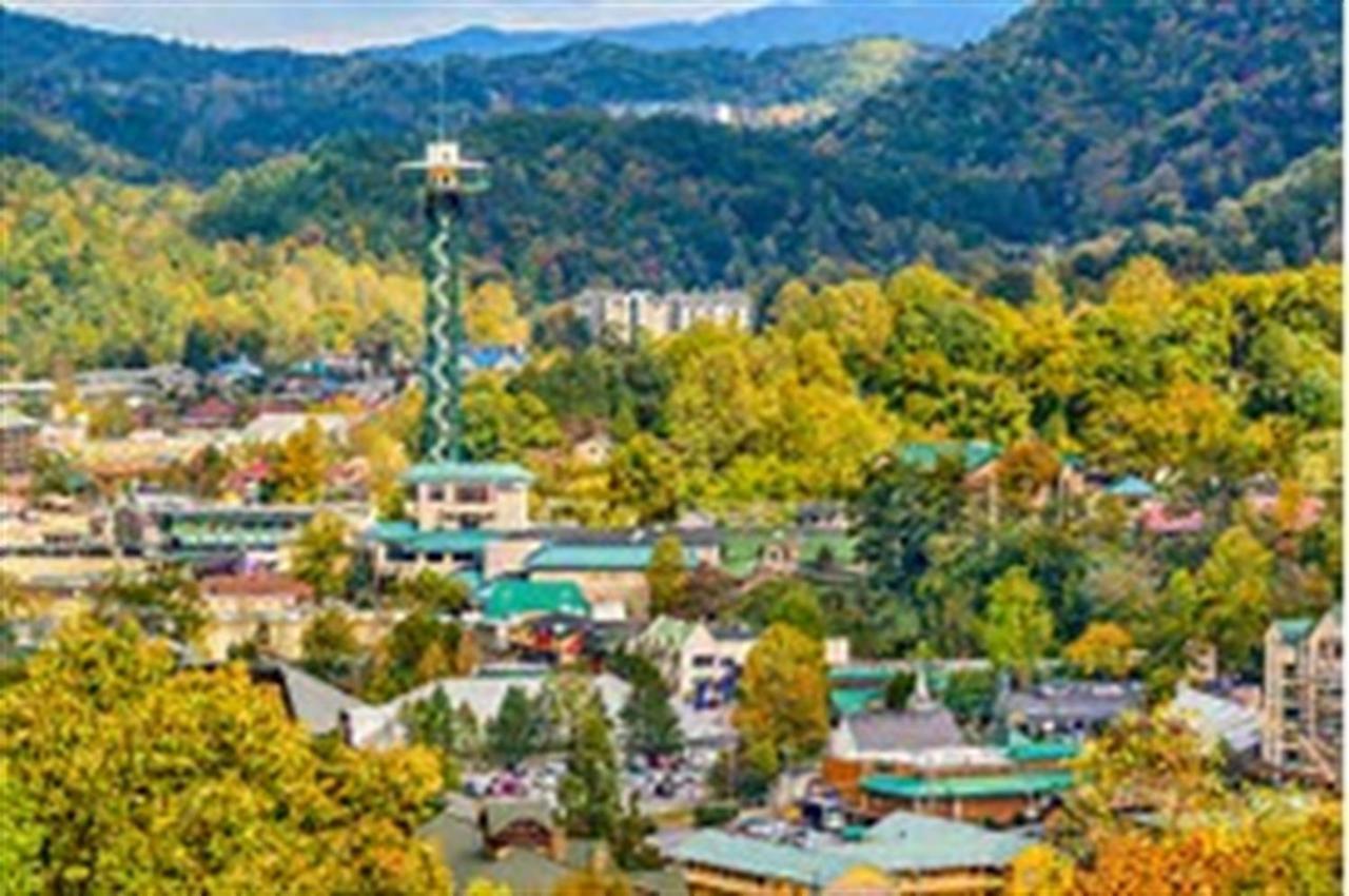 Mountain Springs Chalet 개틀린버그 외부 사진