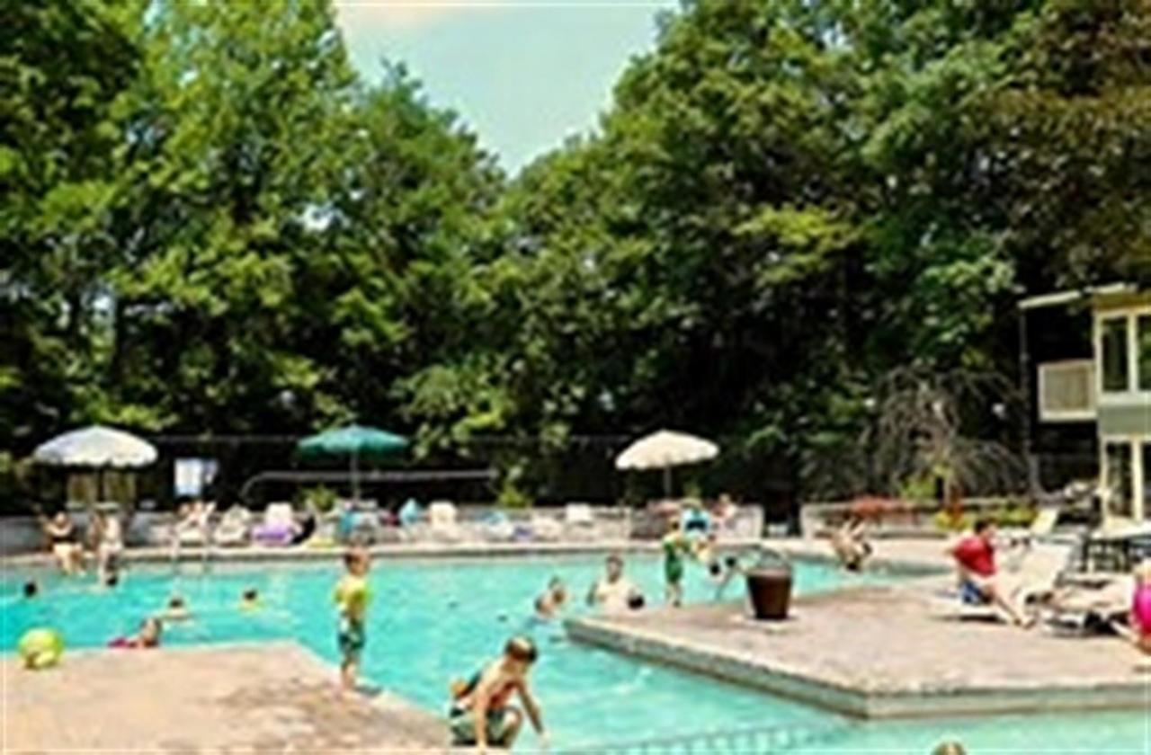 Mountain Springs Chalet 개틀린버그 외부 사진