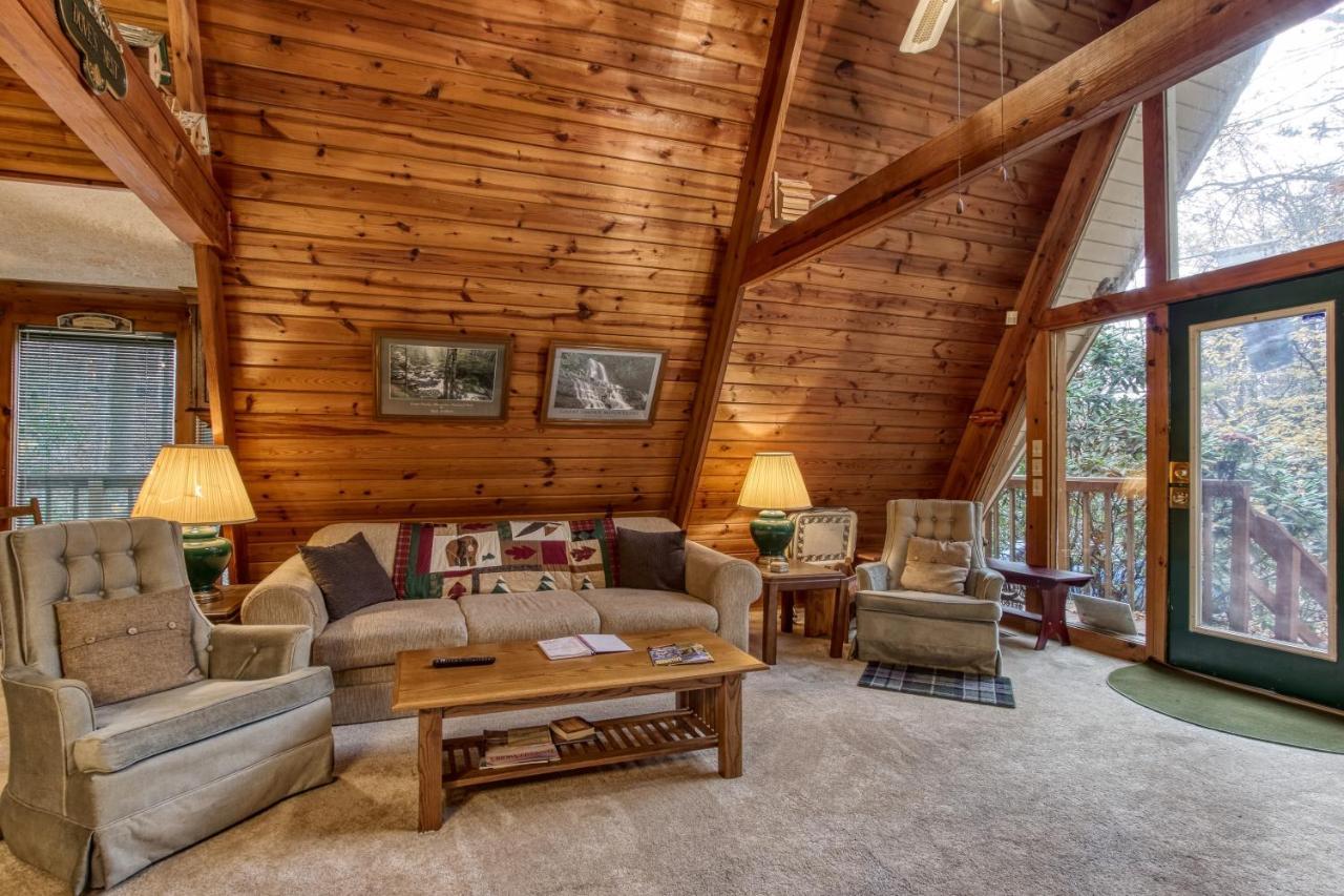 Mountain Springs Chalet 개틀린버그 외부 사진