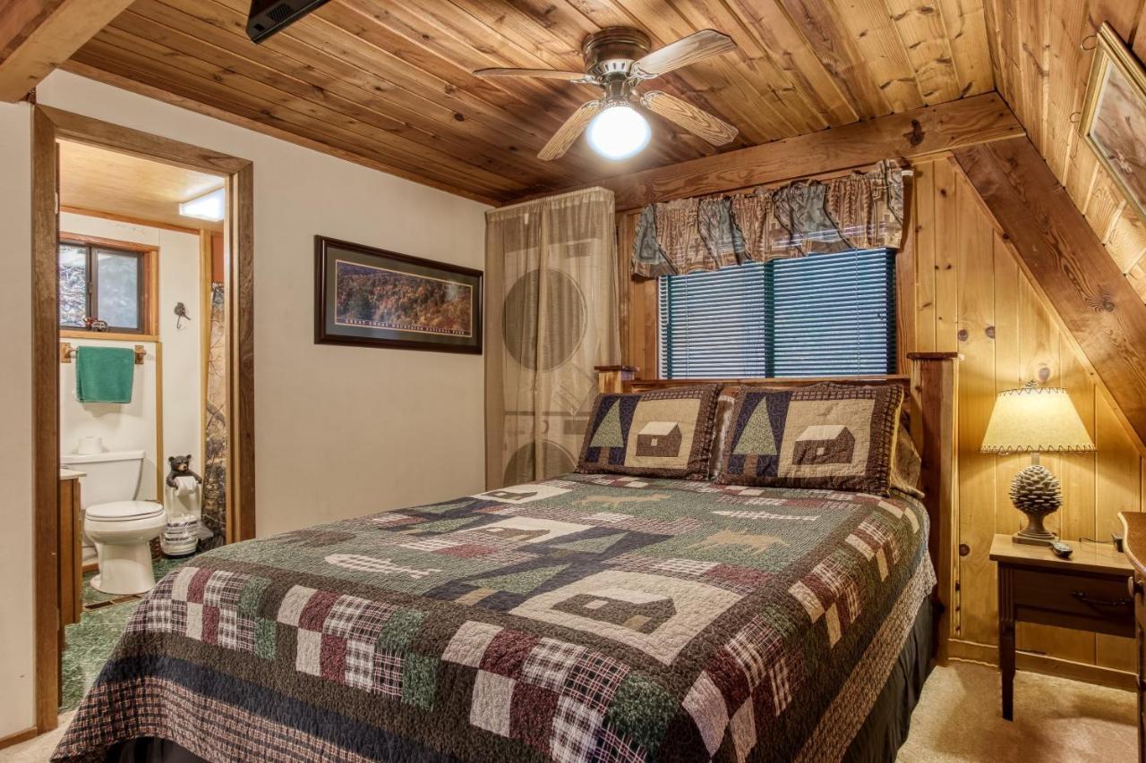 Mountain Springs Chalet 개틀린버그 외부 사진