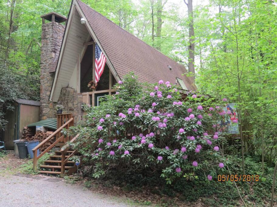 Mountain Springs Chalet 개틀린버그 외부 사진
