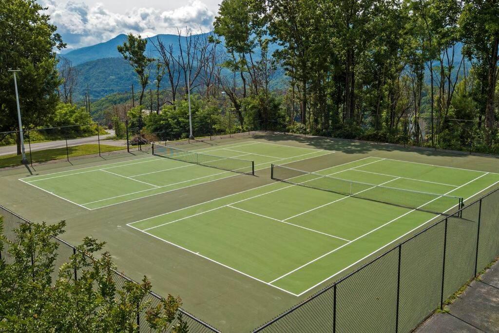 Mountain Springs Chalet 개틀린버그 외부 사진
